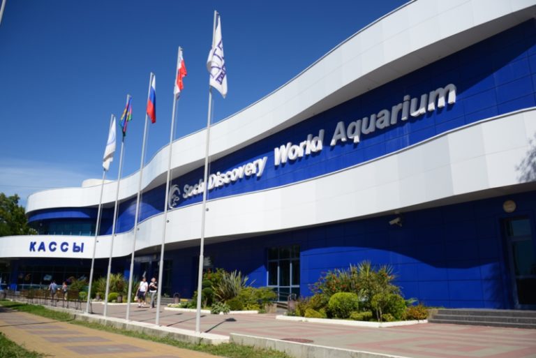 Сочинский океанариум Sochi Discovery World Aquarium