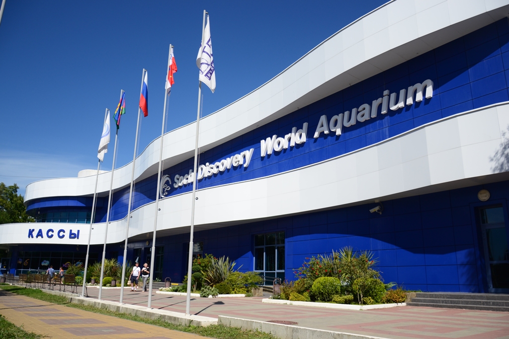 Sochi Discovery World Aquarium в Адлере